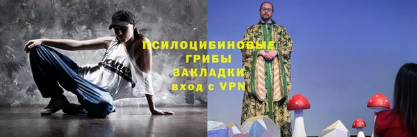 соль ск Горняк