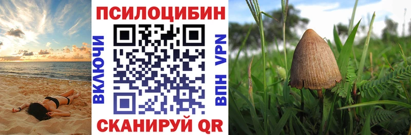 Псилоцибиновые грибы Cubensis  Кяхта 